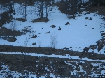 /Ski/2008/Images/1558/mini-neige210308 002Icon.jpg